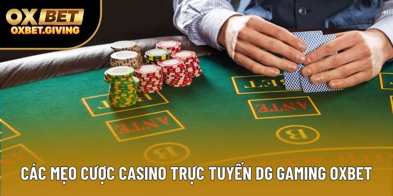 Các mẹo cược casino trực tuyến DG Gaming OXBET