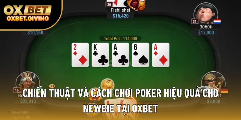 Chiến Thuật Và Cách Chơi Poker Hiệu Quả Cho Newbie Tại OXBET