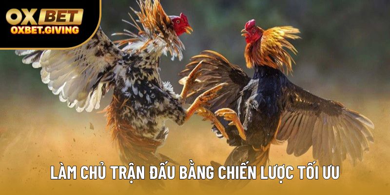 Làm chủ trận đấu bằng chiến lược tối ưu